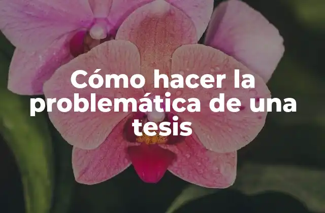 Cómo Hacer la Problemática de una Tesis