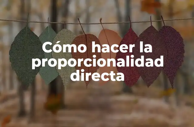 Cómo Hacer la Proporcionalidad Directa