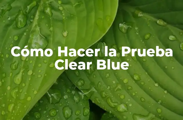 Cómo Hacer la Prueba Clear Blue