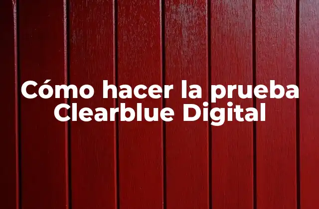 Cómo Hacer la Prueba Clearblue Digital