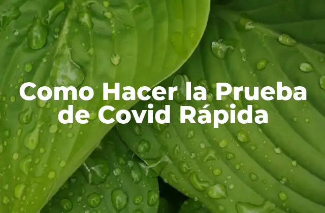Como Hacer la Prueba de Covid Rápida 2 ¿Qué es una Prueba de Covid Rápida y Cómo Funciona?