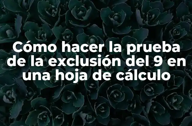 Cómo Hacer la Prueba de la Exclusión Del 9 en una Hoja de Cálculo