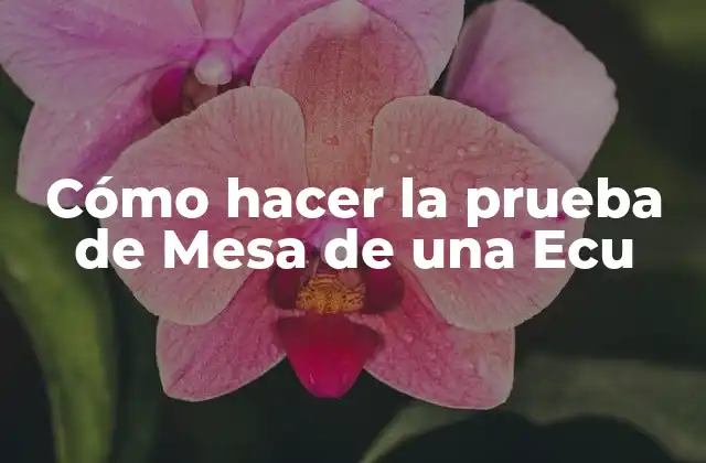 Cómo Hacer la Prueba de Mesa de una Ecu