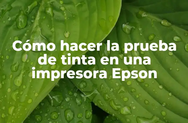 Cómo Hacer la Prueba de Tinta en una Impresora Epson 2 ¿Qué es la prueba de tinta en una impresora Epson?