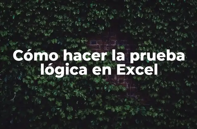 Cómo Hacer la Prueba Lógica en Excel