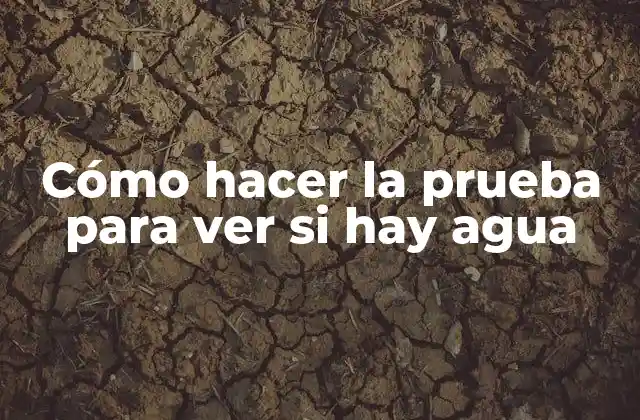 Cómo Hacer la Prueba para Ver Si Hay Agua