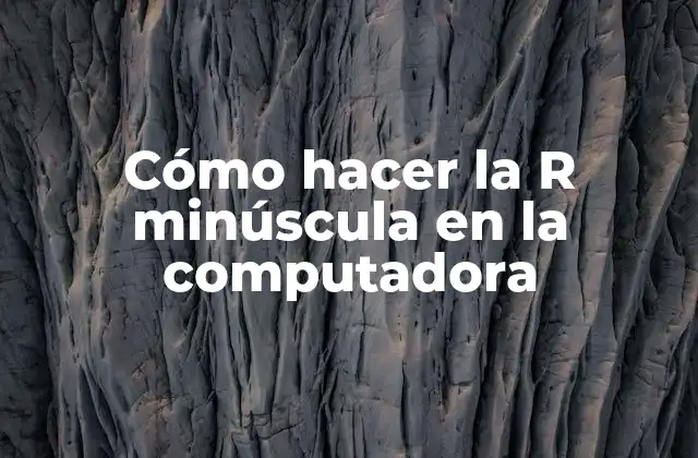 Cómo Hacer la R Minúscula en la Computadora