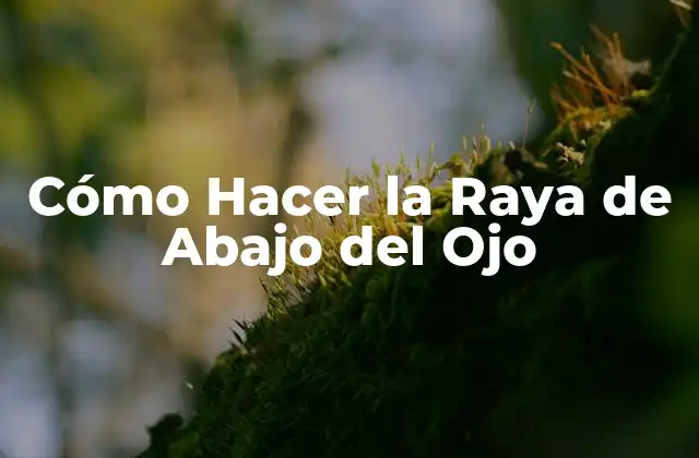 Cómo Hacer la Raya de Abajo Del Ojo