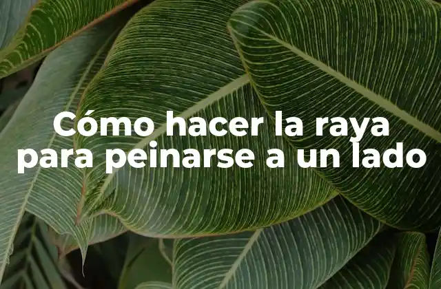 Cómo Hacer la Raya para Peinarse a un Lado