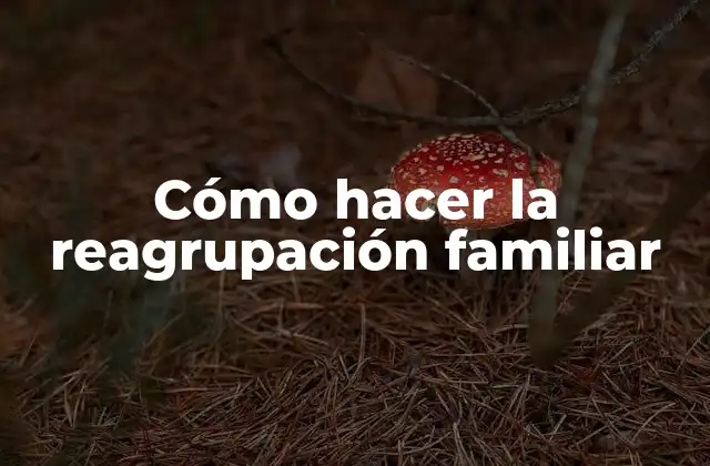 Cómo Hacer la Reagrupación Familiar