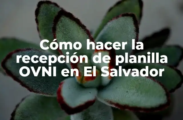 Cómo Hacer la Recepción de Planilla Ovni en el Salvador