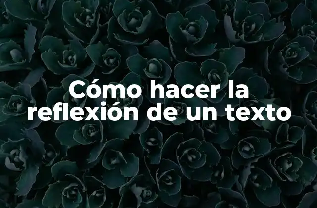 Cómo Hacer la Reflexión de un Texto