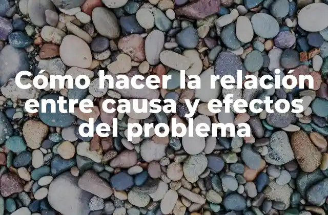 Cómo Hacer la Relación entre Causa y Efectos Del Problema