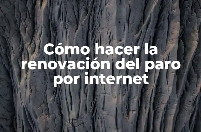 Cómo hacer la renovación del paro por internet