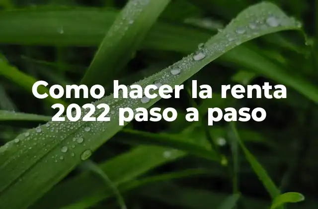 Declaración de la renta en 2022
