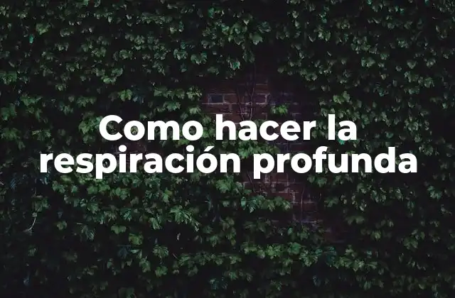 Como Hacer la Respiración Profunda