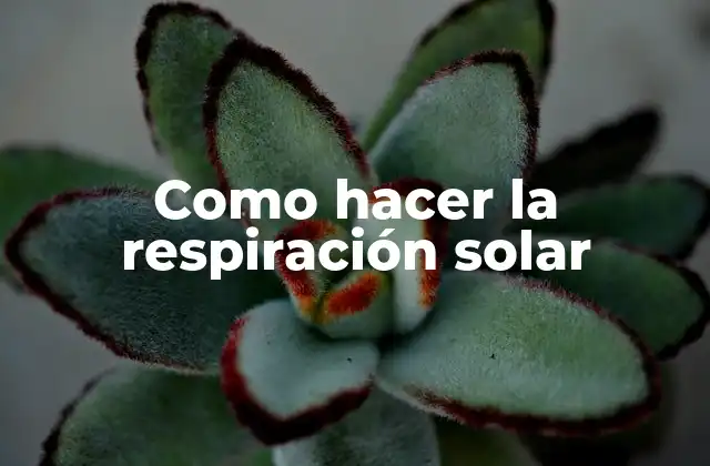 Como Hacer la Respiración Solar
