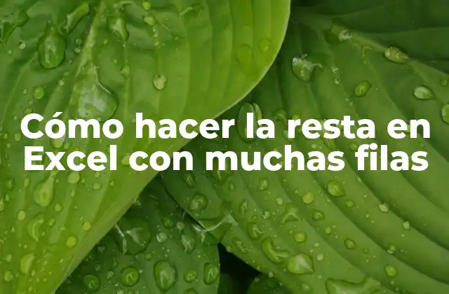 Cómo Hacer la Resta en Excel con Muchas Filas 2 Cómo hacer la resta en Excel con muchas filas