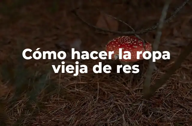 Cómo Hacer la Ropa Vieja de Res