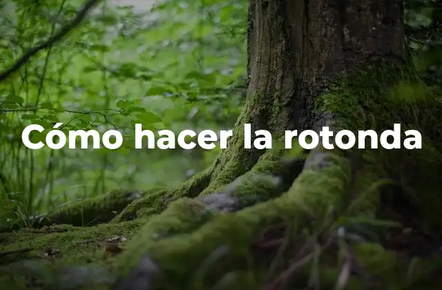 Cómo Hacer la Rotonda