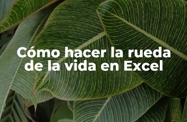 Cómo Hacer la Rueda de la Vida en Excel