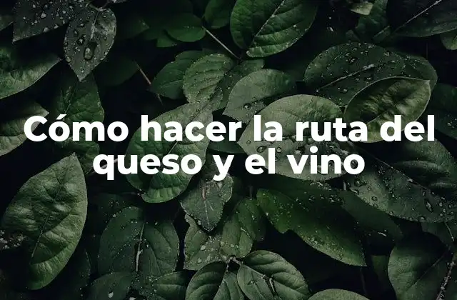 Cómo Hacer la Ruta Del Queso y el Vino
