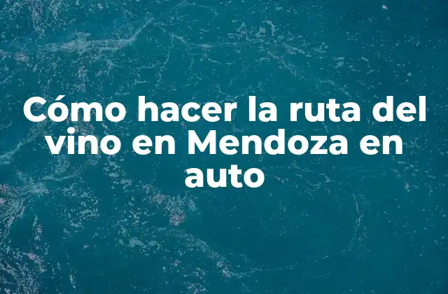 Cómo Hacer la Ruta Del Vino en Mendoza en Auto