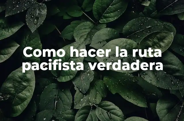 Como Hacer la Ruta Pacifista Verdadera