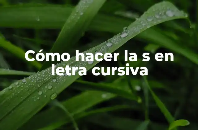 Cómo Hacer la S en Letra Cursiva