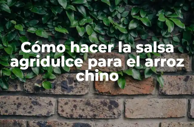 Cómo Hacer la Salsa Agridulce para el Arroz Chino