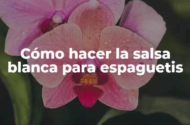 Cómo hacer la salsa blanca para espaguetis