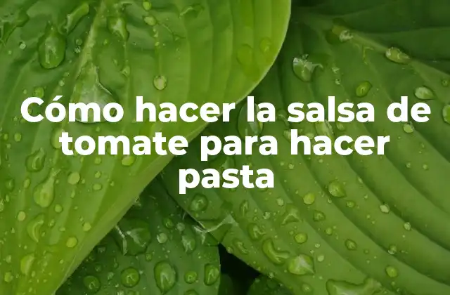 Cómo Hacer la Salsa de Tomate para Hacer Pasta 2 Cómo hacer la salsa de tomate para hacer pasta