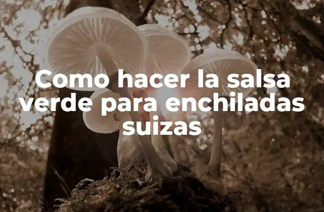 Como Hacer la Salsa Verde para Enchiladas Suizas