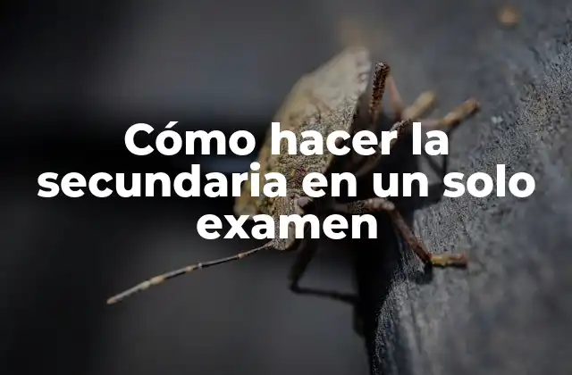 Cómo Hacer la Secundaria en un Solo Examen
