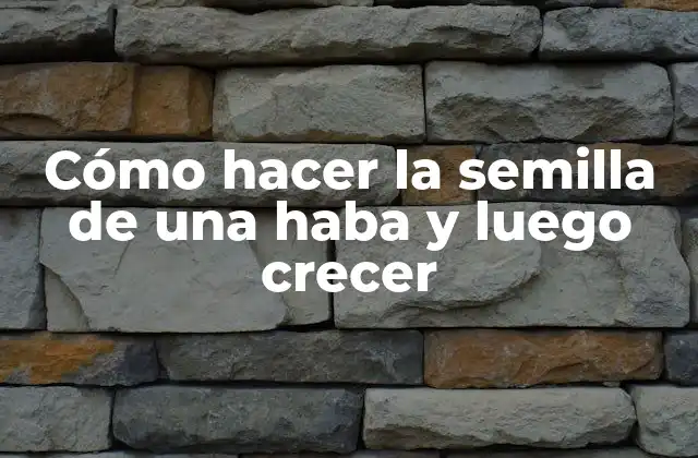 Cómo Hacer la Semilla de una Haba y Luego Crecer