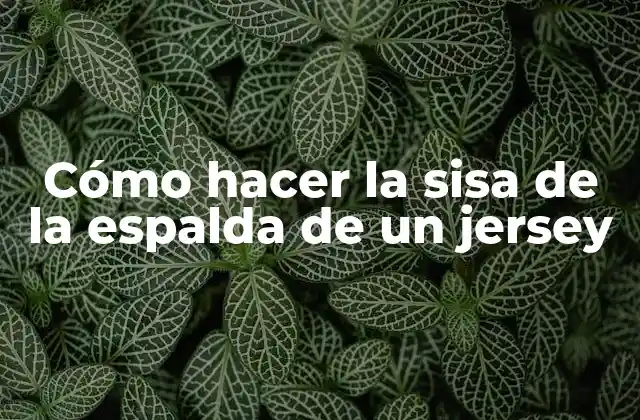 Cómo Hacer la Sisa de la Espalda de un Jersey