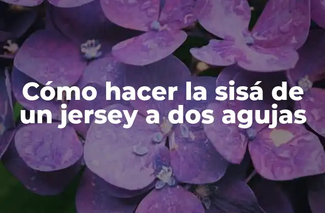 Cómo Hacer la Sisá de un Jersey a Dos Agujas