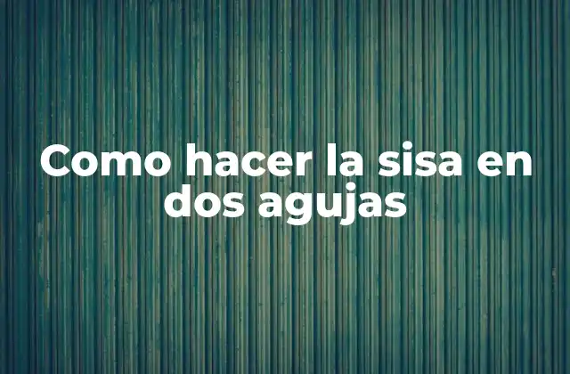 Como Hacer la Sisa en Dos Agujas
