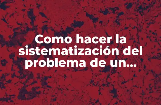 Como Hacer la Sistematización Del Problema de un Proyecto
