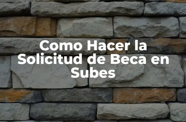Como Hacer la Solicitud de Beca en Subes