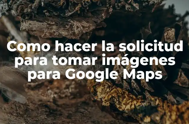 Como Hacer la Solicitud para Tomar Imágenes para Google Maps 2 Como hacer la solicitud para tomar imágenes para Google Maps
