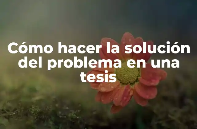 Cómo Hacer la Solución Del Problema en una Tesis