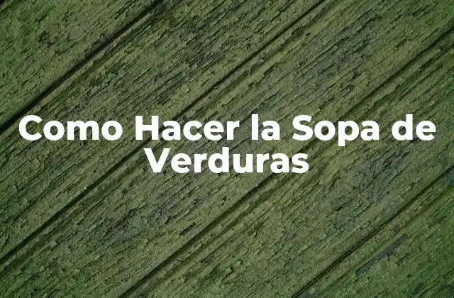 Como Hacer la Sopa de Verduras
