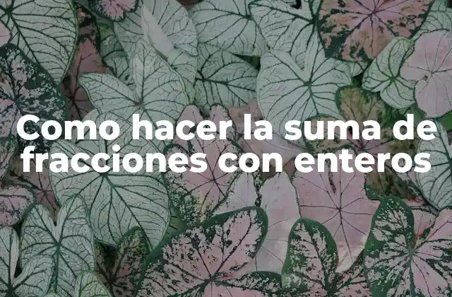 Suma de fracciones con enteros