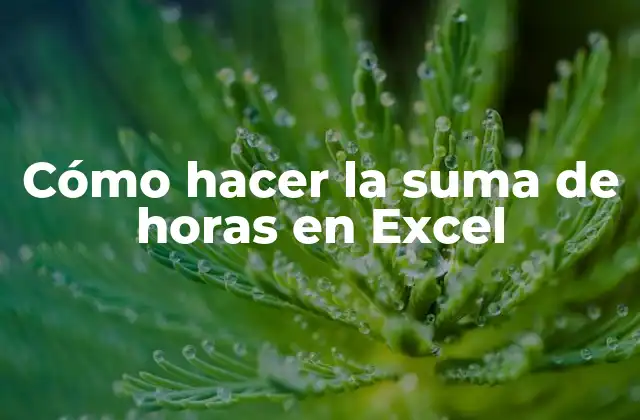 Cómo Hacer la Suma de Horas en Excel