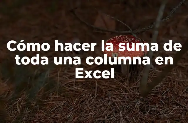 Cómo Hacer la Suma de Toda una Columna en Excel