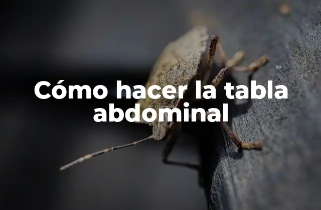 ¿Qué es la tabla abdominal?