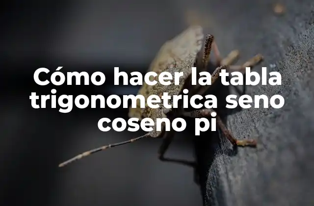 Cómo Hacer la Tabla Trigonometrica Seno Coseno Pi