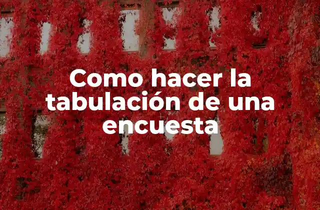 Como Hacer la Tabulación de una Encuesta