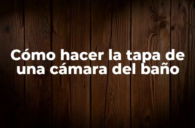 Cómo Hacer la Tapa de una Cámara Del Baño
